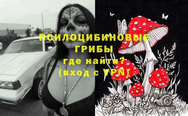 стаф Беломорск